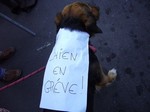 19 mars 03 reduite