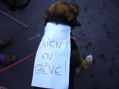19 mars 03